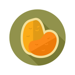 Potato flat icon. Vegetable vector