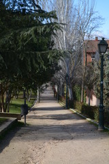 Obraz premium Parque Paris