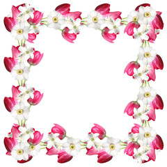 Floral frame of tulips and daffodils 