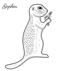Gopher with crowberry hand drawn ink illustration, vector doodle sketch isolated on white, wild animal cartoon line art, Character design for greeting card, children invite, creation of zoo alphabet