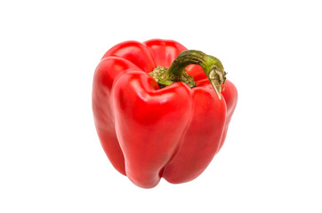 Bell pepper