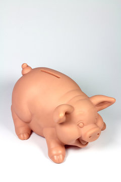 Cerdito