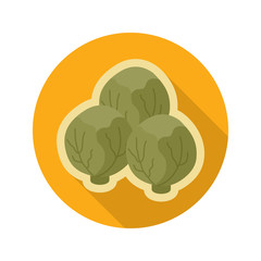 Brussels sprouts flat icon. Vegetable vector