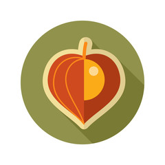 Physalis berries flat icon. Vegetable vector