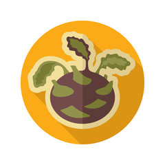 Kohlrabi flat icon. Vegetable vector