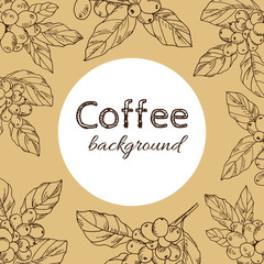 background vector branch with leaves and berries coffee, hand-drawn - 136425645