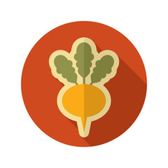 Turnip flat icon. Vegetable root vector