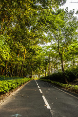 Obraz premium Cycling path