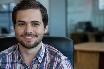 Portrait of smiling businessman 