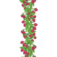 Berries border