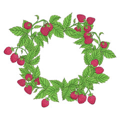 raspberry frame