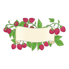 scroll with raspberries
