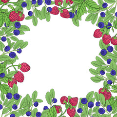 berry square frame