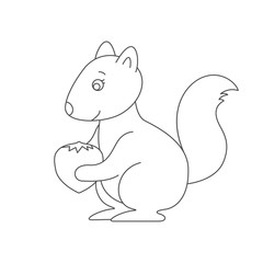 Squirrel for coloring book.