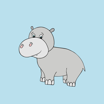 Vector baby hippo. Cartoon illustration