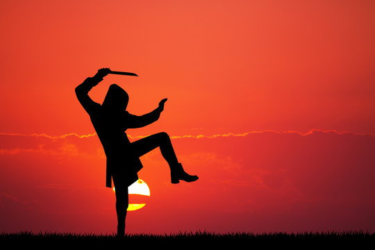 ninja silhouette at sunset