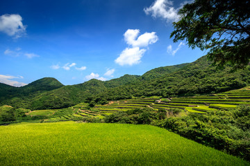 春日の棚田＠長崎県平戸市