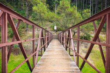 Rusty footbridge over green grass