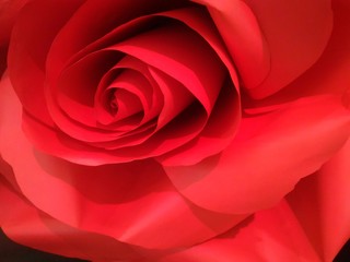 Close up of artificial red rose made by paper