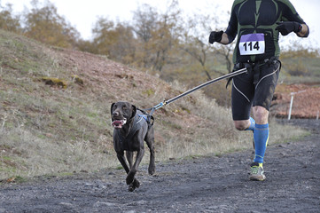 Dog and its owner taking part in a popular canicross race