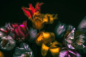 Fotobehang Zwart Donkere kleuren in het donker. Tulpen zeldzame variëteit.