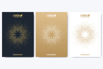 Vector template for brochure, Leaflet, flyer, advert, cover, catalog, magazine or annual report. Geometric background molecule and communication. Golden cybernetic dots. Lines plexus. Card surface.