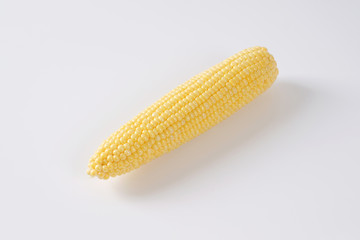 ripe corn cob