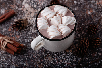 cup of cocoa with marshmallows