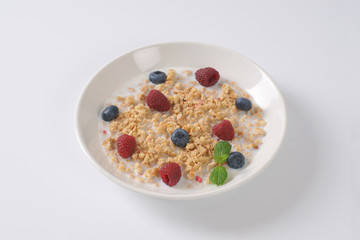 granola with milk and fruit