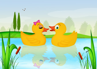 Obraz na płótnie Canvas ducks in the lake