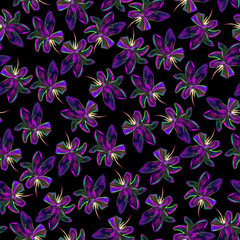 modern flowers background isolated