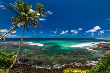Tropical volcanic beach on Samoa Island with many palm trees