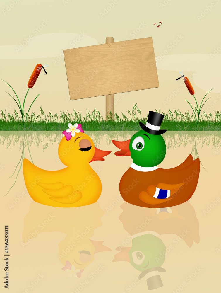 Sticker duck and mallard spouses