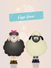 cute sheeps spouses