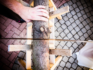 Baumstamm sägen von oben gesehen