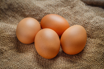egg