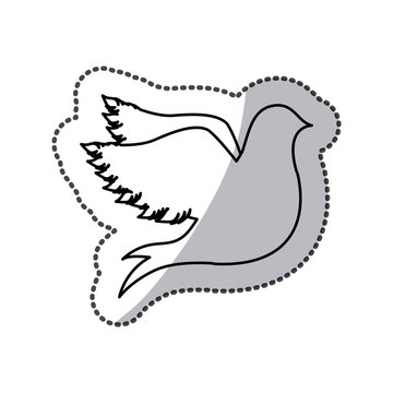 contour pigeons icon image, vector illustration design
