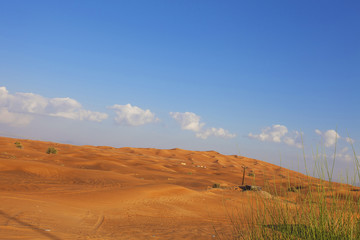 Fototapeta premium Desert and cloudy blue sky.