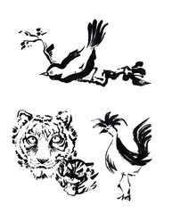 Animal chinese brush painting drawing. Tiger, rooster and bird c