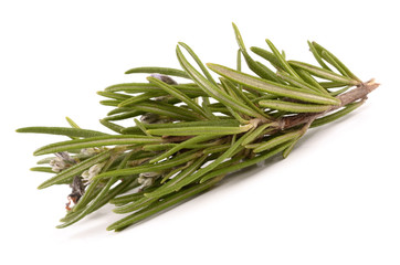 Fototapeta premium Rosemary on a white background