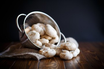 Fresh white champignons in a colander