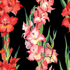 Obraz na płótnie Canvas Seamless drawn pattern of gladioli.