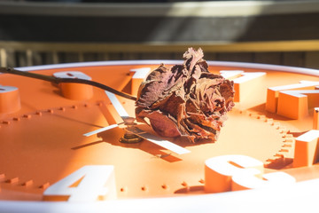 dried rose flower head on Clock
