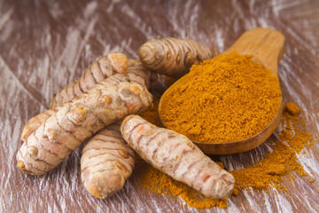 Curcuma en root and octopus (Curcuma longa)