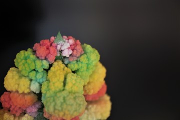 Crystal Growing Experiment. For young science enthusiasts. Educational toys. Learning fun. Creativity for Kids. Growing a crystal tree. Take a little time to do something special with your family.