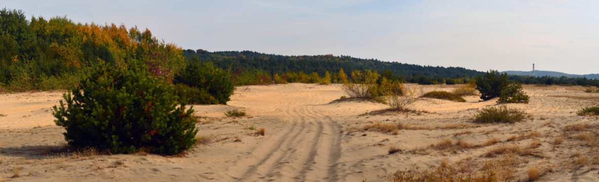 Pustynia Błędowska / Błęd&oacute;w Desert