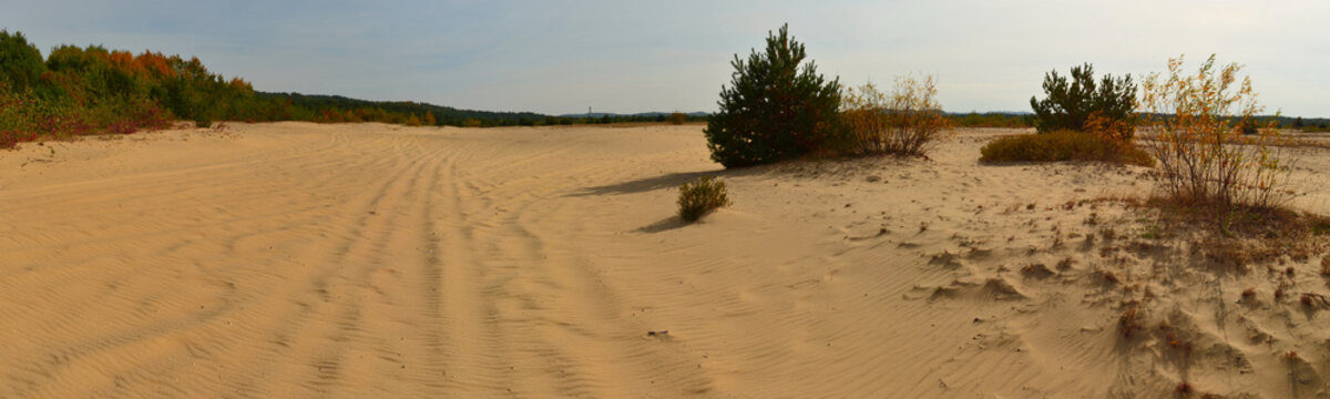 Pustynia Błędowska / Błęd&oacute;w Desert