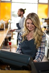Smiling waitress working on computer at counter