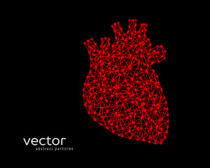 Abstract vector illustration of human heart.