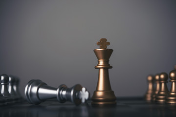 King and Knight of chess setup on dark background .